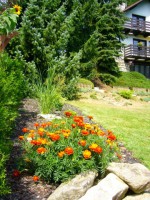 /album/fotogalerie1/p1100026-jpg/