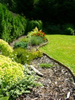 /album/fotogalerie1/p1100037-jpg/