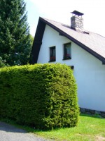 /album/fotogalerie1/p1100057-jpg/