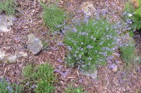 /album/fotogalerie1/dsc-5508-jpg/