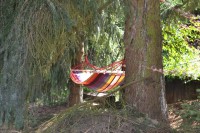 /album/fotogalerie1/dsc-5522-jpg/