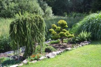 /album/fotogalerie1/dsc-5531-jpg/