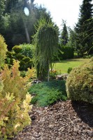 /album/fotogalerie1/dsc-5544-jpg/