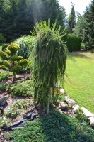 /album/fotogalerie1/dsc-5546-jpg/