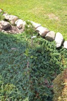 /album/fotogalerie1/dsc-5548-jpg/