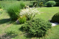 /album/fotogalerie1/dsc-5550-jpg/