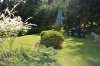 /album/fotogalerie1/dsc-5554-jpg/