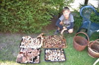 /album/fotogalerie1/dsc-5484-jpg/